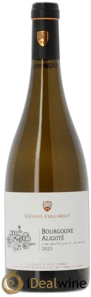 image du vin Bourgogne Aligoté Thomas-Collardot 2023