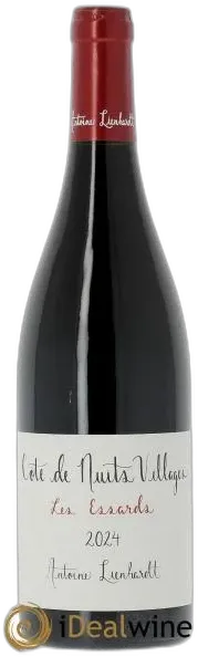 photo du vin Côte de Nuits-Villages les Essards Antoine Lienhardt 2024