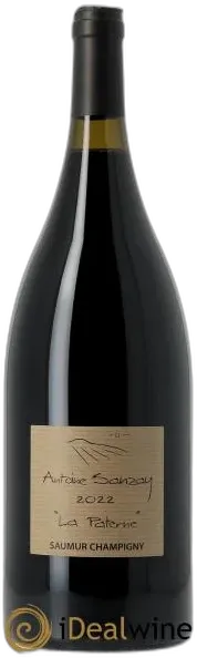 vue du vin Saumur-Champigny la Paterne 2022