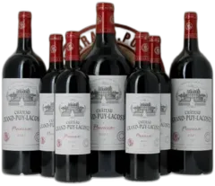 image du vin Panachée Château Grand Puy Lacoste 5ème Grand Cru Classé 2021