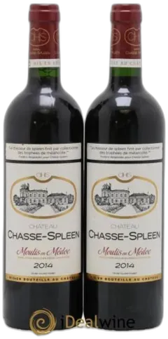 photos du vin Château Chasse Spleen 2014