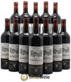 vue du vin Château Fombrauge