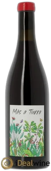 photo du vin Bourgogne Côtes D&Apos;Auxerre Mas a Tierra Mélissa Bazin et Romain de Moor