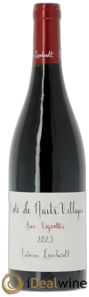 vue du vin Côte de Nuits-Villages Aux Vignottes Antoine Lienhardt 2023