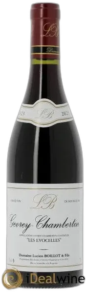 vue du vin Gevrey-Chambertin les Evocelles Lucien Boillot & Fils 2023