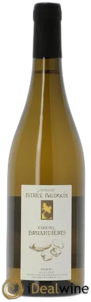 photos du vin Anjou le Clos des Bruandières Patrick Baudouin 2020
