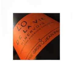 illustration du vin Anne Gros et Jean Paul Tollot Minervois l’o de la Vie 2024