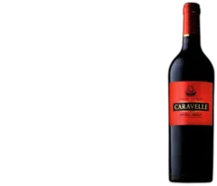 vue du vin Lot 18 6 Blles Caravelle