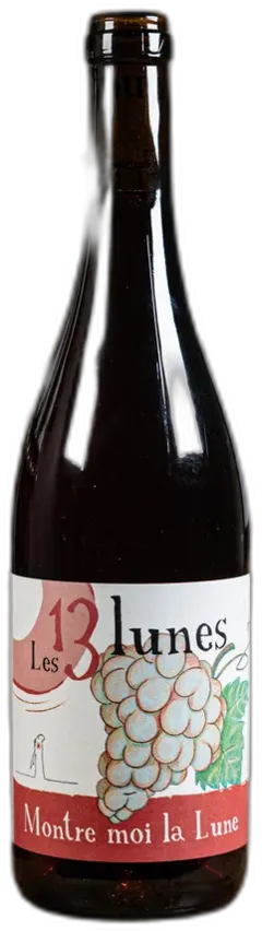 vue du vin Montre Moi la Lune Vin de Savoie Domaine des 13 Lunes