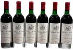 vue du vin Château Montrose 1980