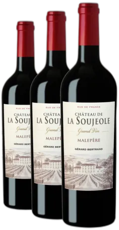 image du vin Chã¢Teau la Soujeole Grand Vin Lot de Bois