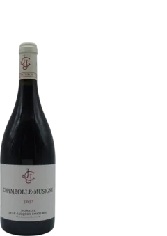 vue du vin Chambolle-Musigny 2023