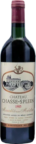 aperçu du vin Chasse-Spleen