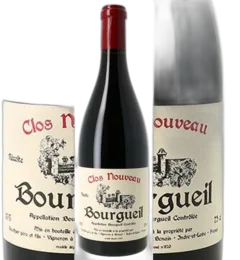 capture du vin Bourgueil Clos Nouveau 2017 Gauthier Pere et Fils