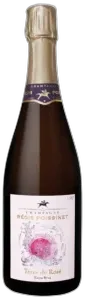 capture du vin Régis Poissinet Terre de Rosée
