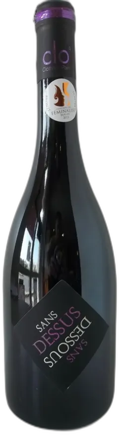 image du vin Chinon Clo 2020 'Sans Dessus Dessous' Domaine Clothilde Pain à Panzoult