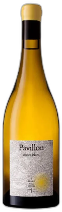 vue du vin Terra Vita Vinum, Pavillon 2021