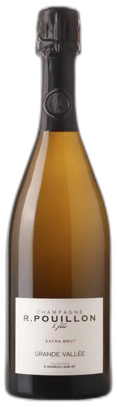 vue du vin Pouillon et Fils Grande Vallée N.M