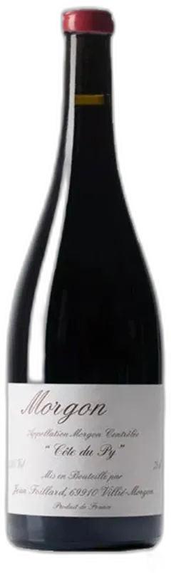 vue du vin Jean Foillard Côte du py 2022