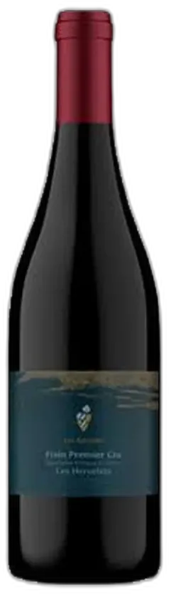 vue du vin Domaine des Astrelles, les Hervelets, 2022