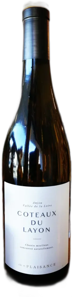 vue du vin Château de Plaisance Coteaux du Layon