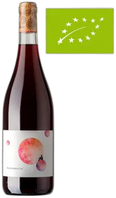 image du vin Vin Rouge Noctambule Château de Caraguilhes Bio