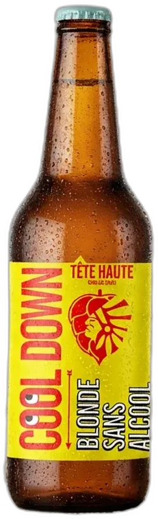 vue du vin Bière Tête Haute Cool Down Pale Ale Sans Alcool
