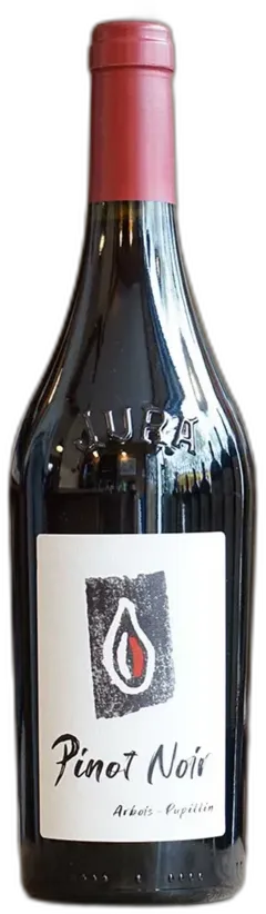 photo du vin Pinot Noir 2023 Kevin Bouillet