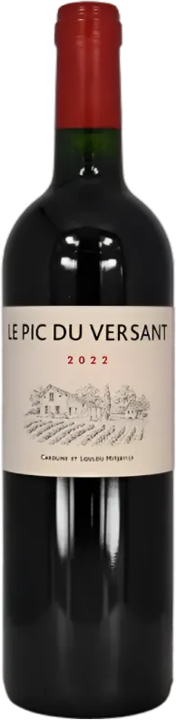vue du vin Domaine de l’Aurage Pic du Versant Castillon Côtes de Bordeaux Rouge 2022