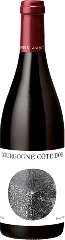aperçu du vin Louis Jadot Bourgogne Côte d’or Rouge 2022