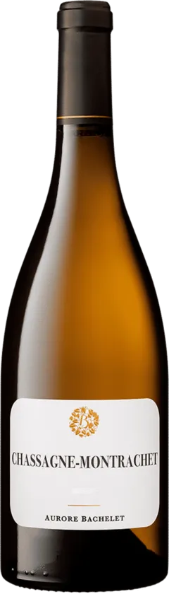 capture du vin Chassagne Montrachet 2023 Chardonnay