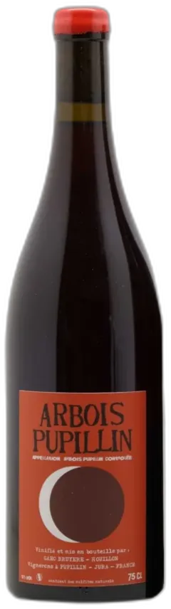 photo du vin Bruyere & Houillon Arbois Pupillin "Ploussard - en Aspis" 2020