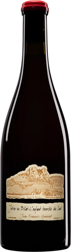 vue du vin Domaine Jean-François Ganevat Côtes du Jura "Julien en Billat - l'Enfant Terrible du Sud" Rouge 2021