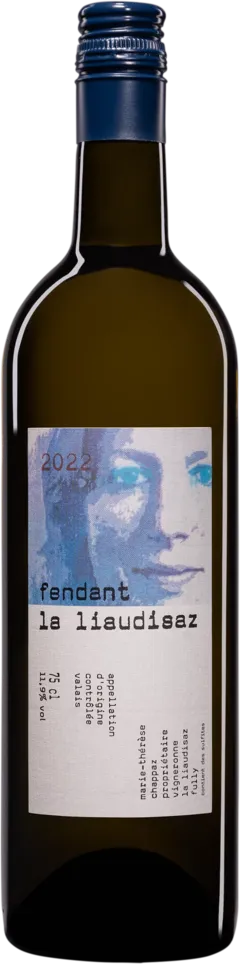 image du vin Marie-Thérèse Chappaz Grain Cinq Assemblage Valais Suisse Blanc 2021