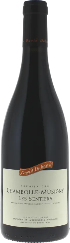 vue du vin Chambolle Musigny 1er Cru les Sentiers 2023 Domaine Duband David, Bourgogne Rouge