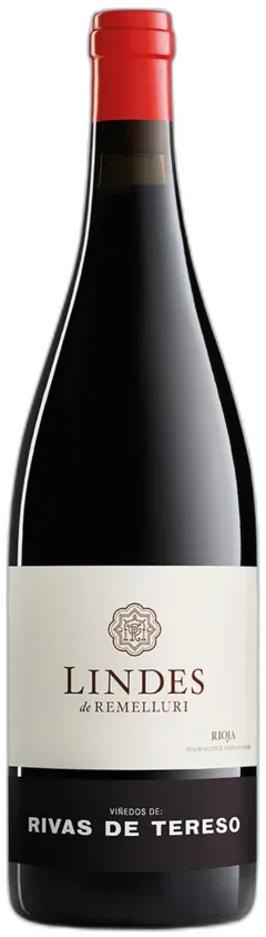 vue du vin Rioja Doca Viñedos de Rivas de Tereso Lindes Remelluri 2020