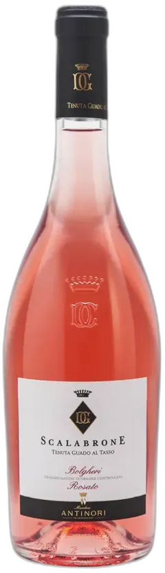 image du vin Bolgheri Doc Guado al Tasso Scalabrone Marchesi Antinori 2025
