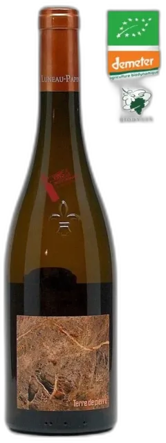 vue du vin Domaine Pierre Luneau-Papin Muscadet Sèvre et Maine Sur Lie "Terre de Pierre" 2024