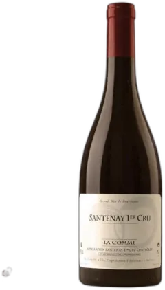 vue du vin Domaine Chapelle Santenay Rouge 1er Cru "la Comme" 2022