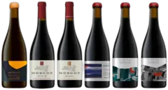 image du vin Dégustation Beaujolais Desvignes