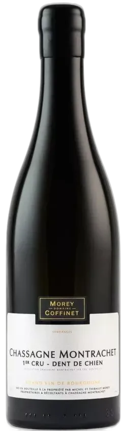 vue du vin Chassagne-Montrachet 1er Cru Dent de Chien Magnum