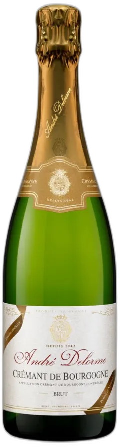 photo du vin Aop de Bourgogne Brut Andre Delorme