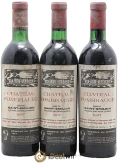 vue du vin Château Fombrauge