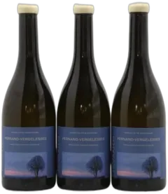 photo du vin Pernand-Vergelesses Maison Skyaasen 2022