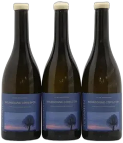 vue du vin Bourgogne Côte-D&Apos;or Maison Skyaasen 2022