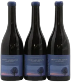 vue du vin Savigny-Lès-Beaune les Bas Liards Maison Skyaasen 2022