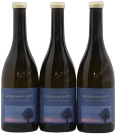 photos du vin Bourgogne Aligoté Maison Skyaasen 2022