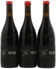 photo du vin Hautes-Côtes de Nuits Pinot Noar Arnaud Lopez 2022