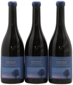 image du vin Monthélie les Sous Courts Maison Skyaasen 2022