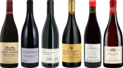 image du vin de Dégustation Premium Beaujolais